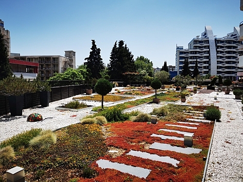 Hotel Hrizantema Bulgaria (48 / 60)