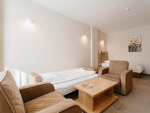 Hotel Orpheus Pamporovo (18 / 54)