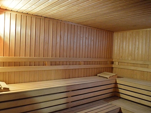 Aparthotel Winslow Infinity Bansko Ski Bulgaria (30 / 43)