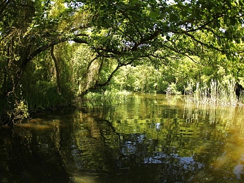 Hotel Mura Bulgaria (40 / 40)