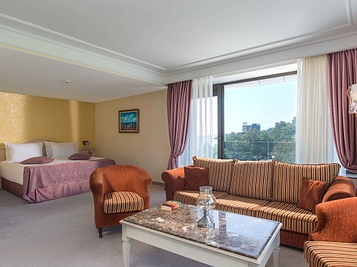 Hotel Palace Sunny Day Sunny Day (12 / 44)