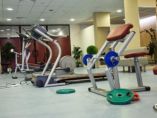 Hotel Flora Complex Ski Bulgaria (38 / 44)