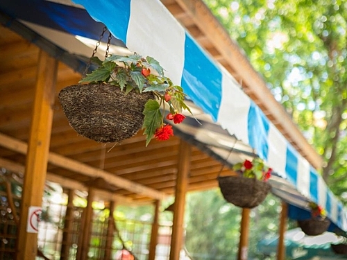 Hotel Perla Nisipurile de Aur Bulgaria (39 / 45)