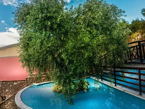 Kallisti Apart Hotel Grecia (30 / 33)