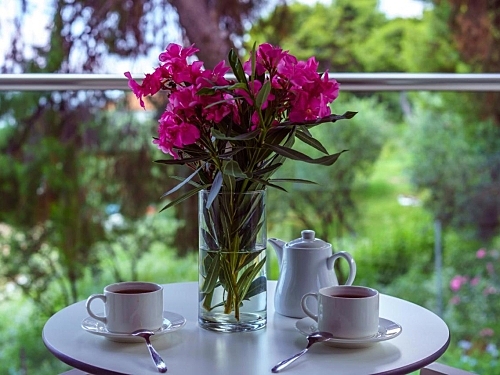 Hotel Elinotel Sermilia Resort Grecia (11 / 45)